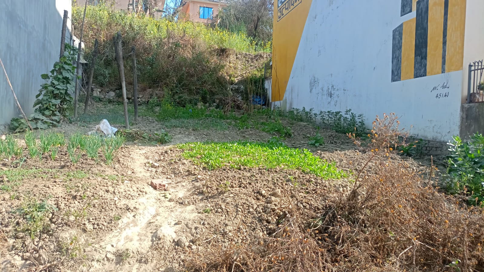 Picture of Changunarayan Municipality, Bagmati